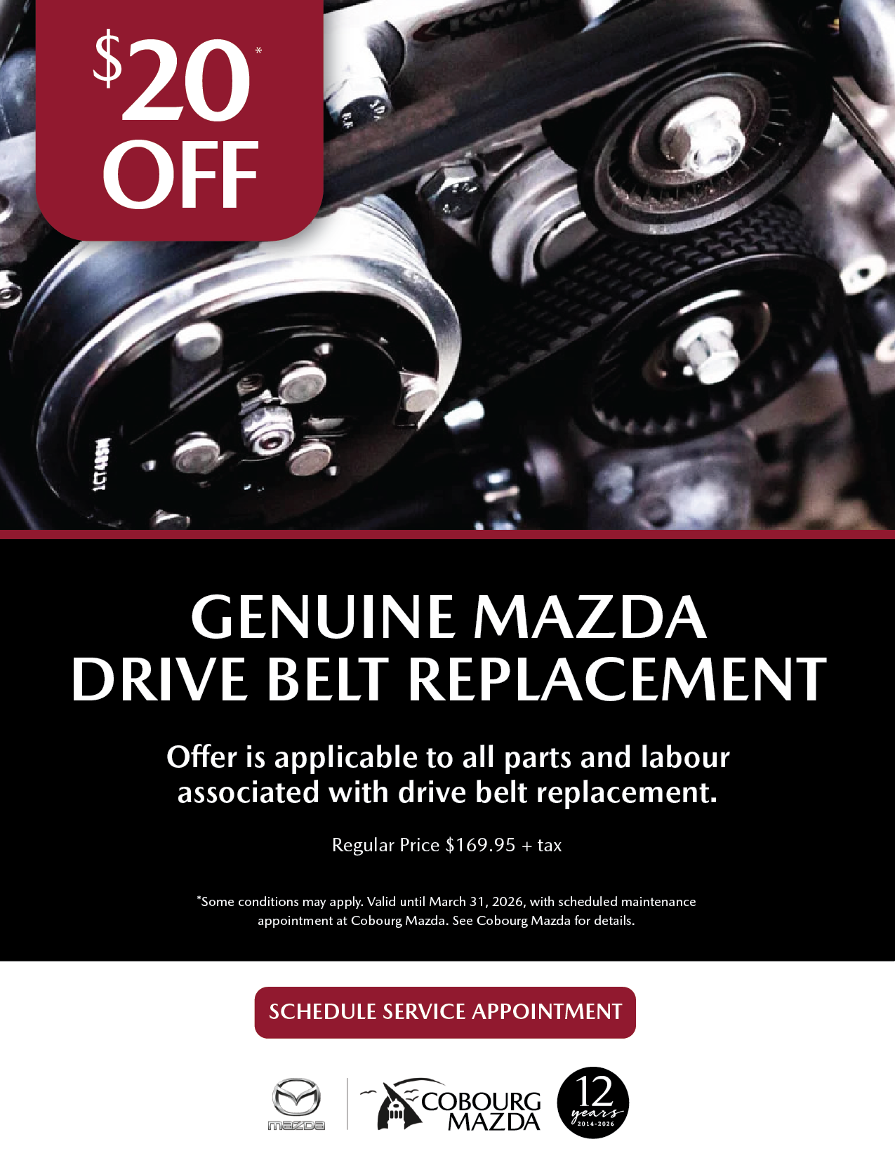 Drive Belt Replacement