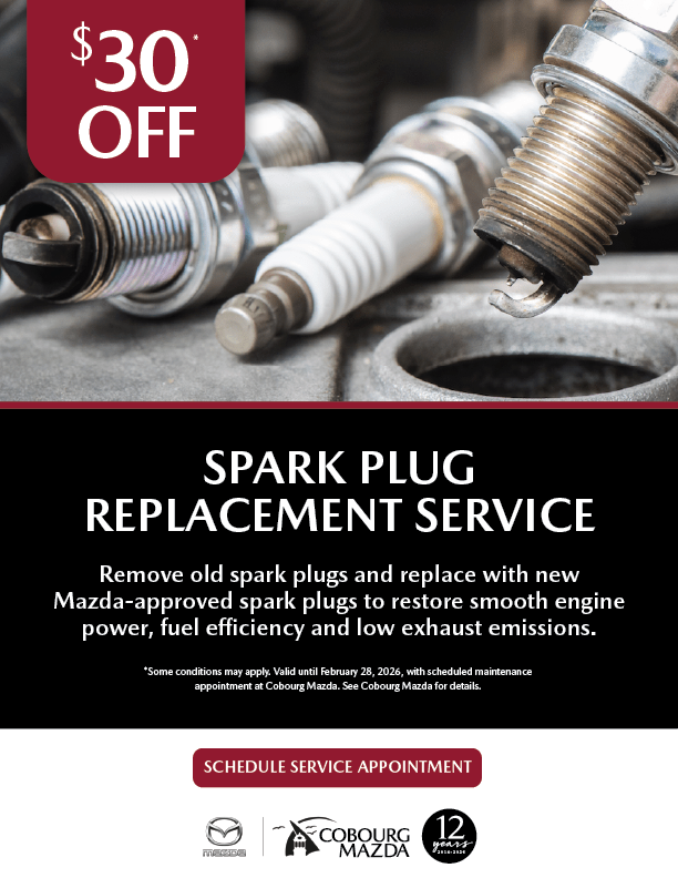 Spark Plug Replacement Service Spark Plug Replacement Service