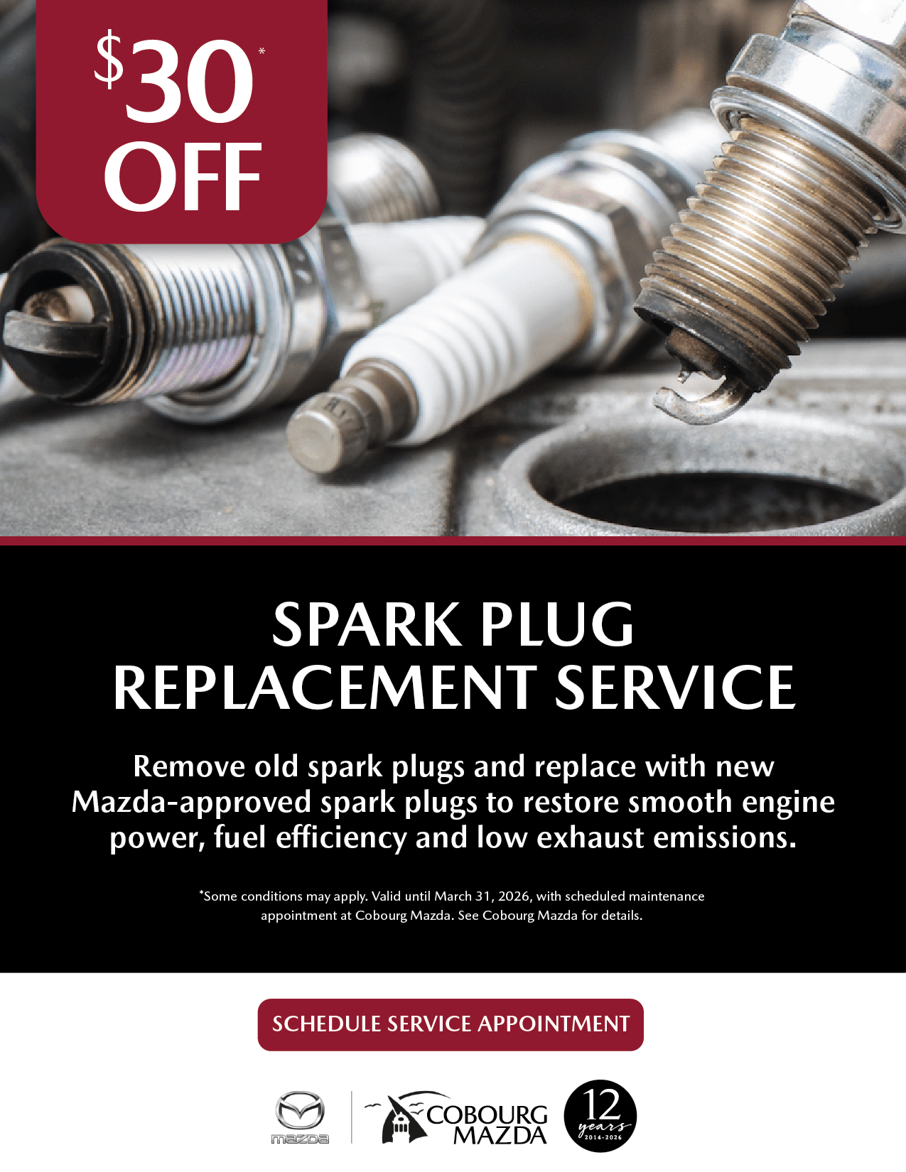 Spark Plug Replacement Service