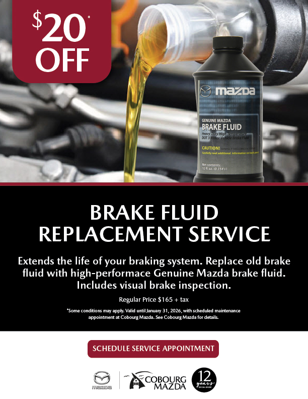 Brake Fluid Replacement Service
